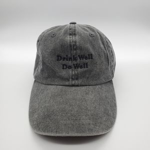 Drink Well Do Well - LaVit - Unisex - Grey - Adjustable Hat